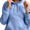 imageChampion Womens Pullover Fleece Hoodie Loose Fit Midweight Script LogoPewter Blue  Embroidered Script Logo