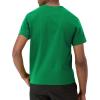imageChampion Mens Classic Everyday Soft Comfortable TShirt Regular or Big ampamp TallFresh Leaf Green