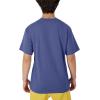 imageChampion Mens Classic Everyday Soft Comfortable TShirt Regular or Big ampamp TallStone Crush Blue
