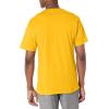 imageChampion Mens Classic Everyday Soft Comfortable TShirt Regular or Big ampamp TallTeam Gold  C Logo