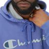 imageChampion Mens Fleece Script Logo Hoodie Reg Or Big ampamp TallStone Crush Blue  Classic Script Logo