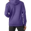 imageChampion Mens Pullover Fleece Hoodie Midweight C Logo Reg Or Big ampamp TallPurple  C Logo