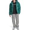 imageChampion mens Quilted Fullzip Hooded Puffer JacketRain Forest