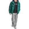 imageChampion mens Quilted Fullzip Hooded Puffer JacketRain Forest