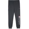 imageChampion Boys Boys Sweatpants Tricot Jogger PantsIron Grey