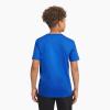 imageChampion Boys Boys Tee Shirt Short Sleeve Logo TShirt for KidsCrash Blue