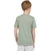 imageChampion Boys Boys Tee Shirt Short Sleeve Logo TShirt for KidsSignature Pale Green