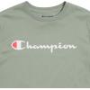 imageChampion Boys Boys Tee Shirt Short Sleeve Logo TShirt for KidsSignature Pale Green