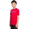 imageChampion Boys Boys Tee Shirt Short Sleeve Logo TShirt for KidsSignature Red