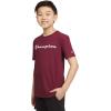 imageChampion Boys Boys Tee Shirt Short Sleeve Logo TShirt for KidsWine
