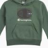 imageChampion Boys Hoodie and Jogger Set for Kids 2 Piece Athletic Sweatsuit SetsDark Forest Green