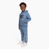 imageChampion Boys Hoodie and Jogger Set for Kids 2 Piece Athletic Sweatsuit SetsDusty Blue