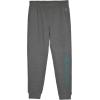 imageChampion Boys Jogger Set Fleece Hoodie and Sweatpants TracksuitMedium Heather Grey