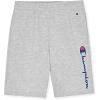 imageChampion Boys Shorts 2 Pack Athletic Fleece Short for BoysNavy Bluegrey Heather
