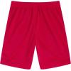 imageChampion Boys Shorts Athletic Mesh Basketball Shorts for BoysSignature Lychee