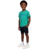 imageChampion Boys Shorts Sets 2 Piece Tee Shirt and Athletic Shorts for KidsSignature Oasis Green