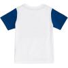 imageChampion Boys Shorts Sets 2 Piece Tee Shirt and Athletic Shorts for KidsSurf Blue