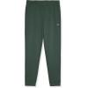 imageChampion Boys Sweatpants Active Fleece Jogger Pants for KidsDark Forest Green