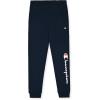 imageChampion Boys Sweatpants for Kids 2 Pack Athletic Boys Jogger PantsNavyheather Grey