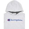 imageChampion boys Boys Hoodie for Kids Sweatshirt Fleece Youth Pullover With HoodGrey Signature