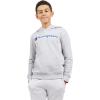 imageChampion boys Boys Hoodie for Kids Sweatshirt Fleece Youth Pullover With HoodGrey Signature