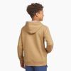 imageChampion boys Boys Hoodie for Kids Sweatshirt Fleece Youth Pullover With HoodKhaki
