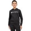imageChampion boys Boys Hoodie for Kids Sweatshirt Fleece Youth Pullover With HoodSignature Black