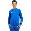 imageChampion boys Boys Hoodie for Kids Sweatshirt Fleece Youth Pullover With HoodSignature Blue