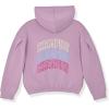 imageChampion girls Girls Hoodie Sweatshirt Zip Up Fleece Athletic Hoodie for Girl ClothingSignature Haze