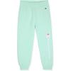 imageChampion Girls Hoodie and Sweatpant Set for Kids Athletic Fleece SweatsuitAqua Sky
