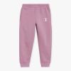 imageChampion Girls Hoodie and Sweatpant Set for Kids Athletic Fleece SweatsuitHaze