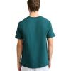 imageChampion Mens Classic Graphic Short Sleeve TShirt Standard Fit 2025 GraphicsEmerald Allure  Block Arch  Seal