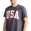 imageChampion Mens Classic Graphic Short Sleeve TShirt Standard Fit 2025 GraphicsNine Iron  Usa Block Logo