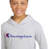 imageChampion boys Boys Long Sleeve Hooded ShirtSignature Gray Heather