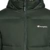 imageChampion mens Heavy Weight Puffer With Adjustable HoodPine