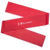 imageChampion Flat Resistance Bands Pack of 3 GreyRedBlue LightMediumHeavy Rubber  Latex Exercise Bands OdorFree for Strength Training Physical Therapy amp Gym Workout Includes Exercise Guide