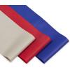imageChampion Loop Resistance Bands 3Pack GreyRedBlue LightMediumHeavy OdorFree 4 Rubber  Latex Exercise Bands for Strength Training and Physical Therapy Includes Exercise Guide