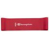 imageChampion Loop Resistance Bands 3Pack GreyRedBlue LightMediumHeavy OdorFree 4 Rubber  Latex Exercise Bands for Strength Training and Physical Therapy Includes Exercise Guide