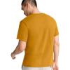 imageChampion Mens Classic Everyday TShirtHoney Mustard Yellow  C Logo
