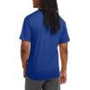 imageChampion Mens Classic Everyday TShirtSurf the Web  C Logo