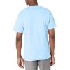 imageChampion Mens Classic Everyday TShirtSwiss Blue  C Logo