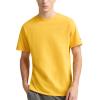 imageChampion Mens Classic Everyday TShirtTeam Gold  C Logo