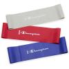 imageChampion Loop Resistance Bands 3Pack GreyRedBlue LightMediumHeavy OdorFree 4 Rubber  Latex Exercise Bands for Strength Training and Physical Therapy Includes Exercise Guide