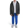imageChampion mens Sherpa Lined Midlength Sideline Jacket With HoodBlack