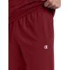 imageChampion Mens 10 Sport Knit Shorts Slim Fit LightweightPomegranate  C Logo