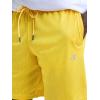 imageChampion Mens Performance 9 Mesh Shorts Standard Fit Lightweight Available in Regular and Big amp TallFreesia  C Logo