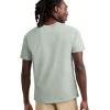 imageChampion Mens Classic Script Graphic Short Sleeve TShirt Standard Fit Tonal Logo Available in Regular and Big amp TallClever Sage
