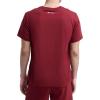imageChampion Mens Classic Script Graphic Short Sleeve TShirt Standard Fit Tonal Logo Available in Regular and Big amp TallPomegranate