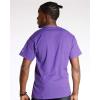 imageChampion Mens Classic Script Graphic Short Sleeve TShirt Standard Fit Tonal Logo Available in Regular and Big amp TallPurple