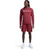 imageChampion Mens Long Sleeve Tshirt Hoodie Retired ColorsPomegranate  Classic Script Logo